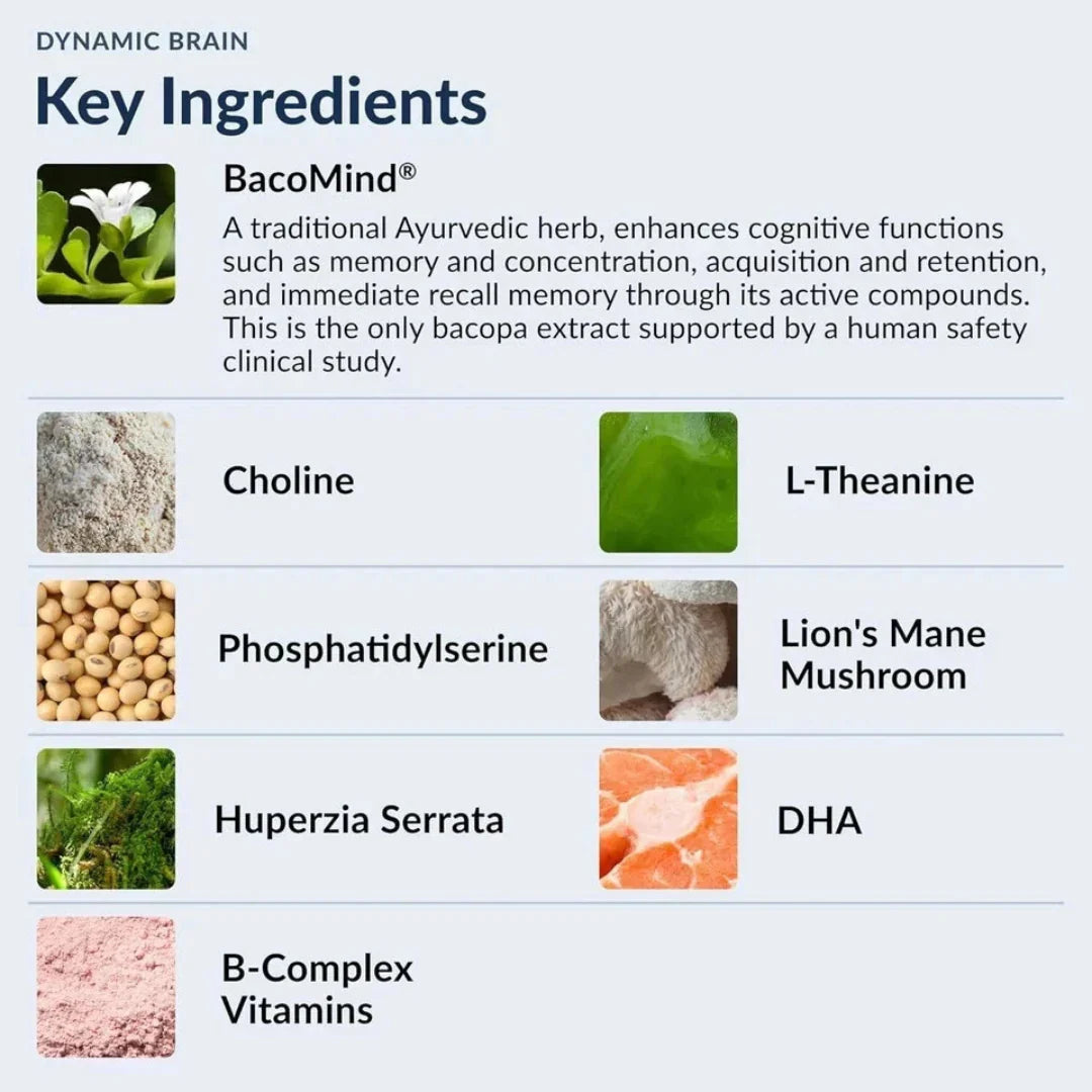 List of key ingredients for a brain supplement with images and descriptions.
